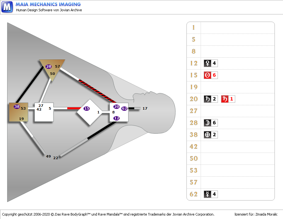 Julian Assange-DreamRave