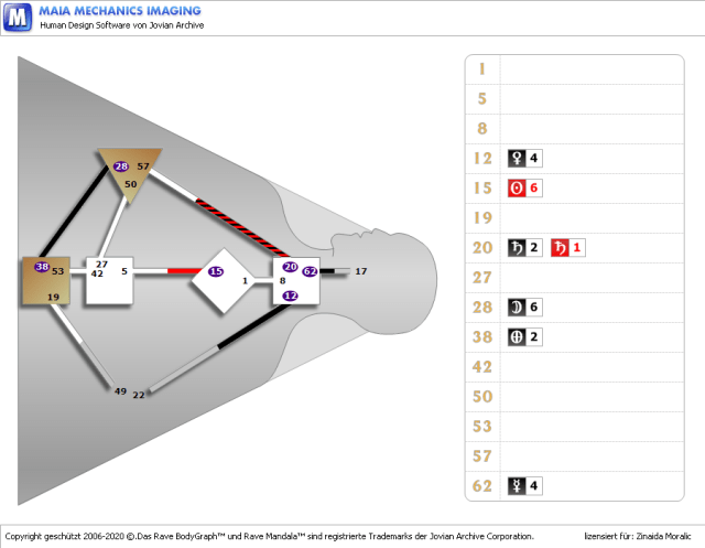 Julian Assange-DreamRave
