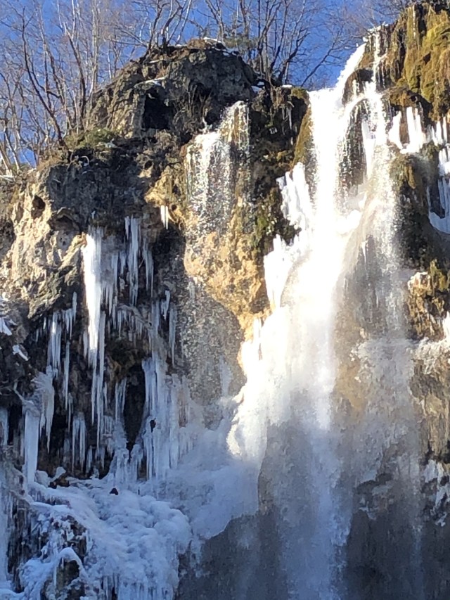 F6157181-EB04-4DA5-B0BC-50E144FF39C7